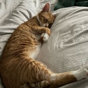 Meet your Posher, Cristina